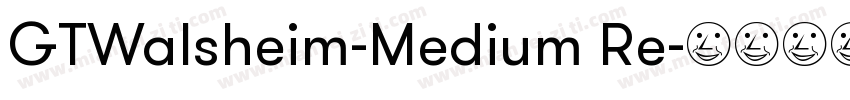 GTWalsheim-Medium Re字体转换